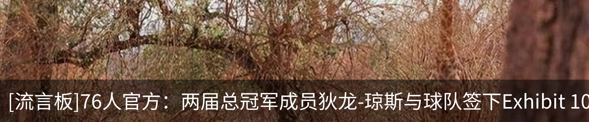 内页banner